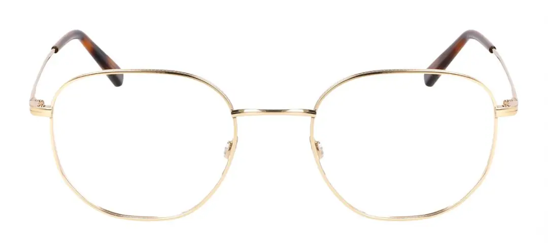 Flexson FLEXON H6076 N Gold Brilmontuur