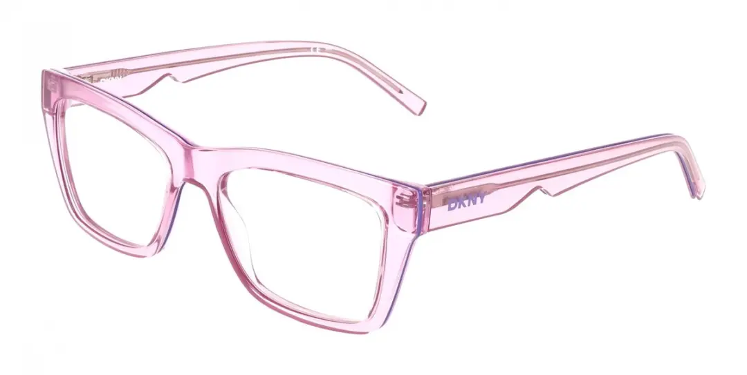 DKNY DK5093 Brilmontuur