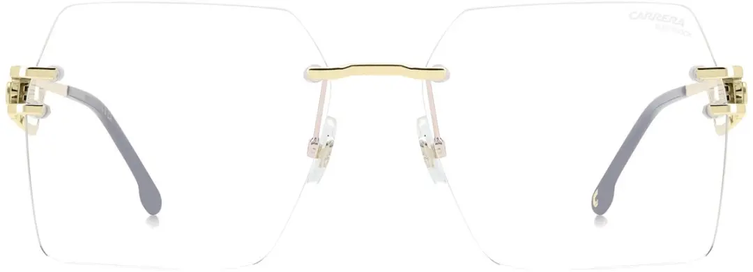 Carrera 3102/BB 000 Bril - Gold