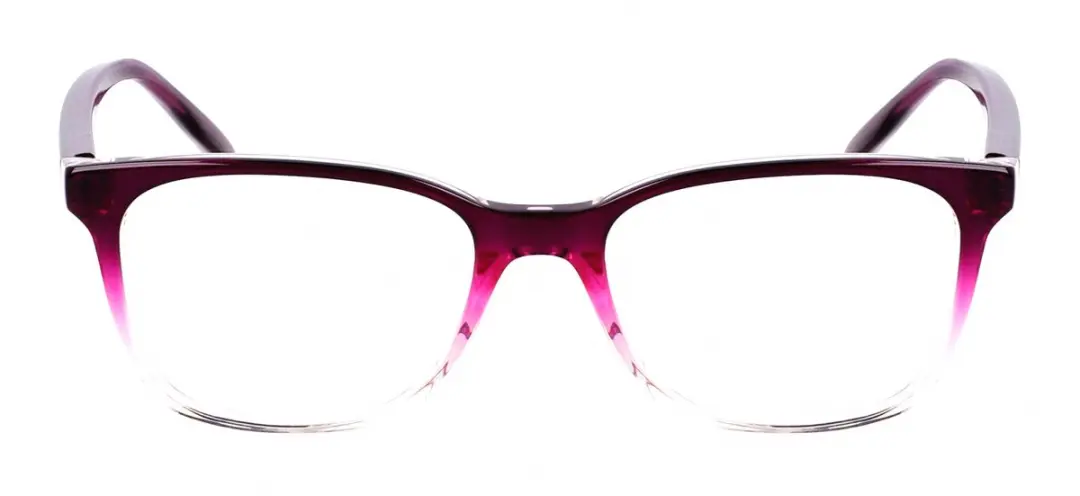 Nike 5054 N Brilmonturen - Plum Gradient