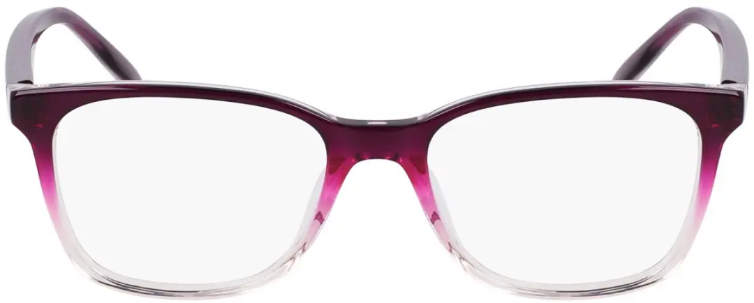 Nike 5054 N Brilmonturen - Plum Gradient
