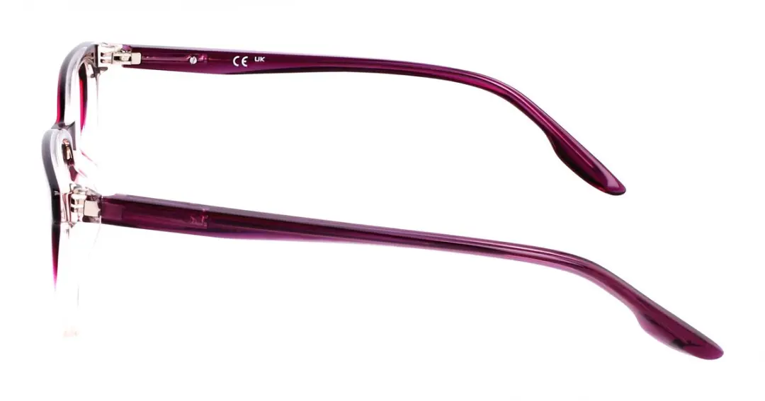 Nike 5054 N Brilmonturen - Plum Gradient