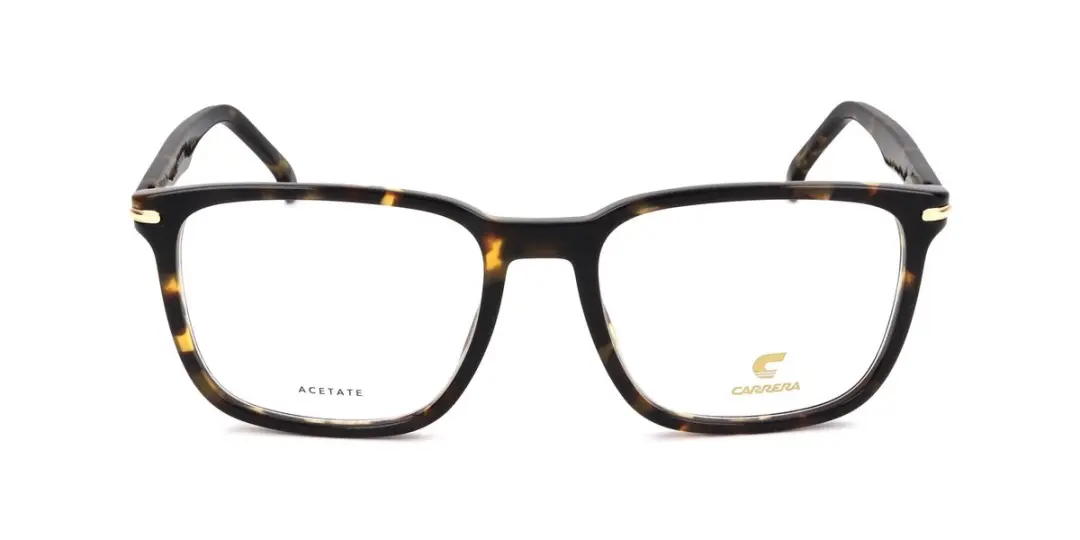 Carrera 309 Havana Brilmonturen