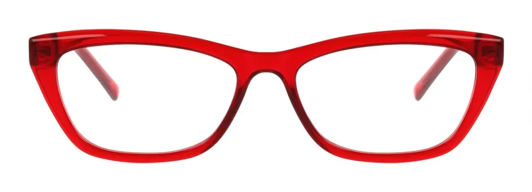 DKNY DK5084 Brilmontuur - Crystal rouge