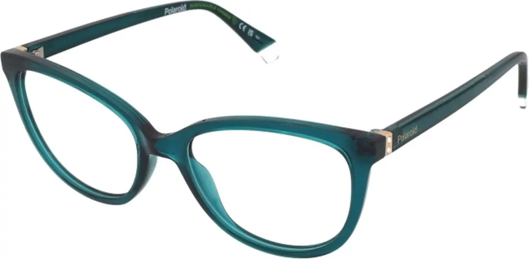 Polaroid PLD D504 1ED Bril - Brown