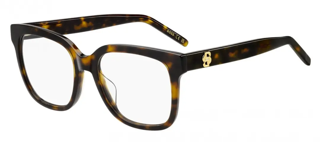 Hugo Boss BOSS 1792/G Brilmontuur