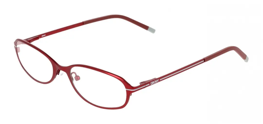 DKNY DK1040 Brilmontuur