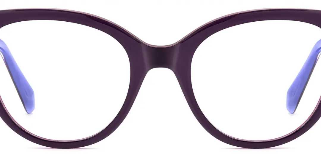 Polaroid PLD D585 Brilmontuur - Violet