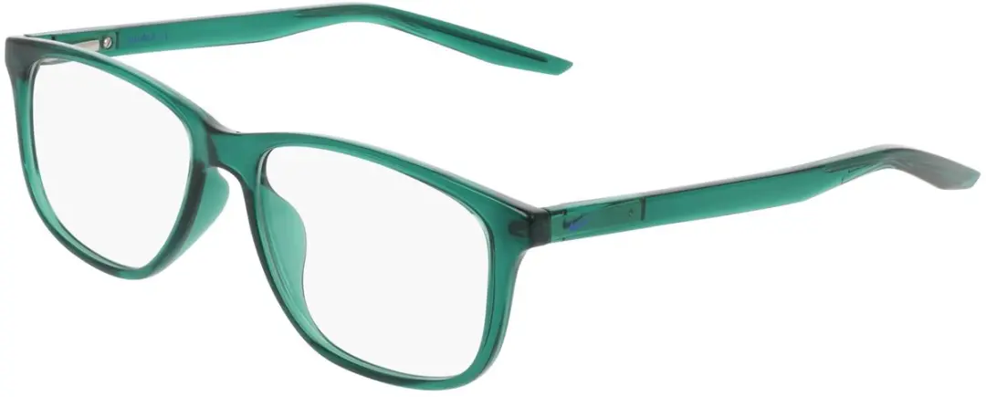 Nike 5019N Brilmonturen