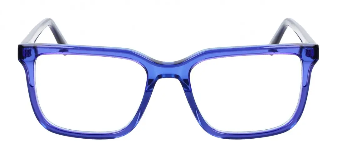 DKNY DK5071 Brilmontuur - Triple Blueberry