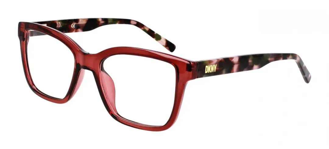 DKNY DK5069 Brilmontuur