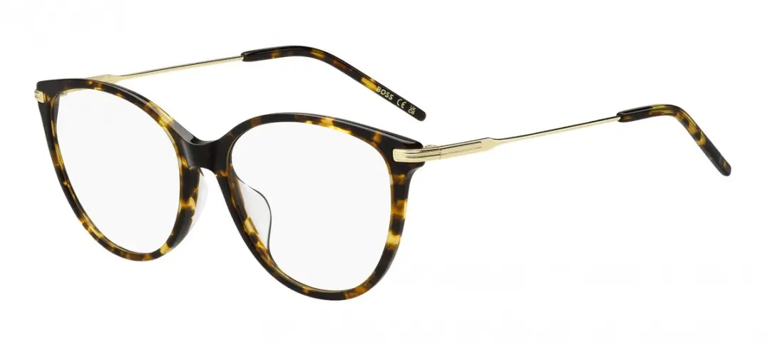 Hugo Boss BOSS 1784/G Brilmontuur