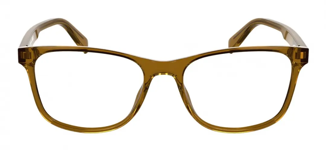 Lacoste L2979 Brilmonturen - Transparent Brown