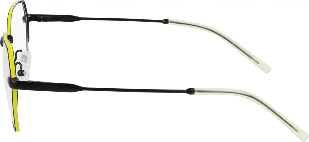 DKNY DK1033 N Vrouw Brilmontuur - Mat Zwart