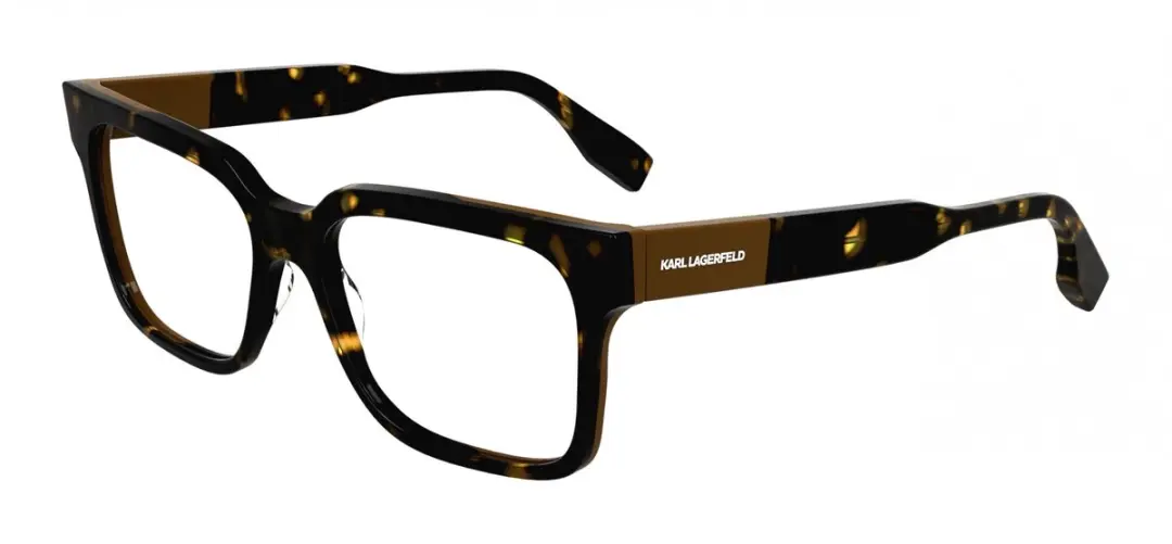 Karl Lagerfeld KL6173 Brilmontuur