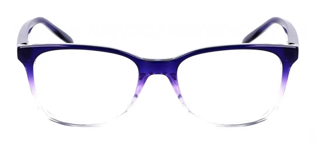 Nike 5054 N Brilmonturen - Indigo Gradient