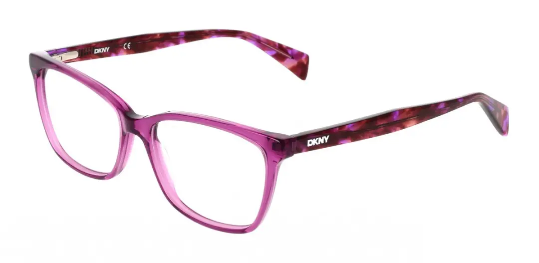 DKNY DK5097 Brilmontuur
