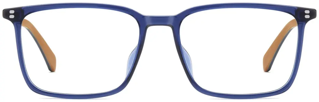 Polaroid PLD D615 Brilmonturen - Blauw