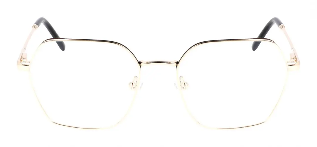 DKNY DK1033 N Gold Brilmontuur