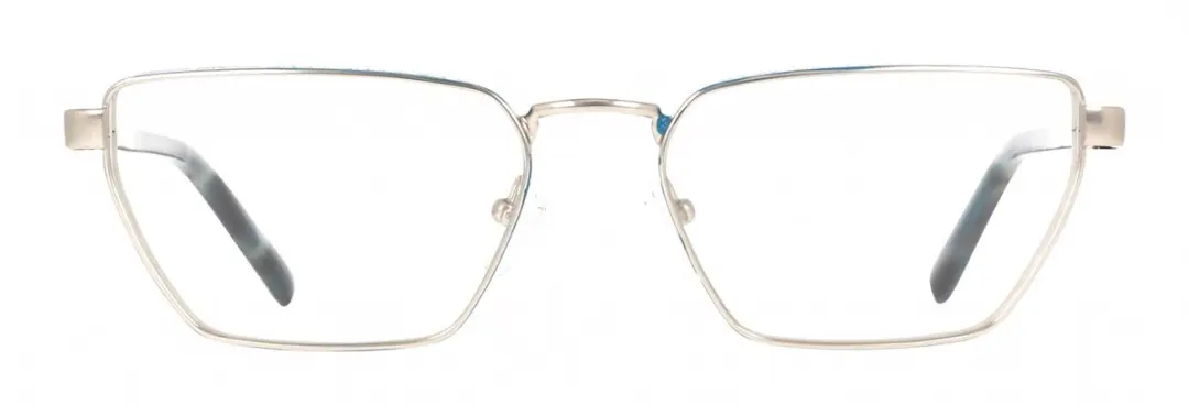 DKNY DK1038 Brilmonturen - Satin silver