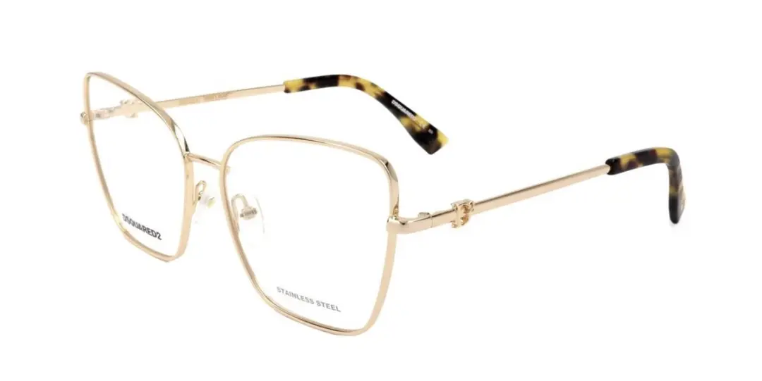 Dsquared2 D2 0039 Brilmontuur