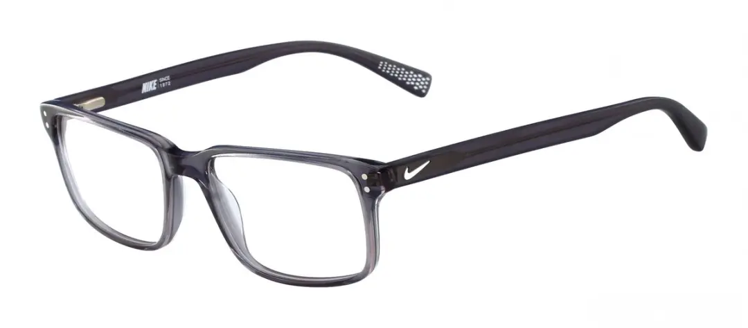Nike Brilmontuur 7240 Grey