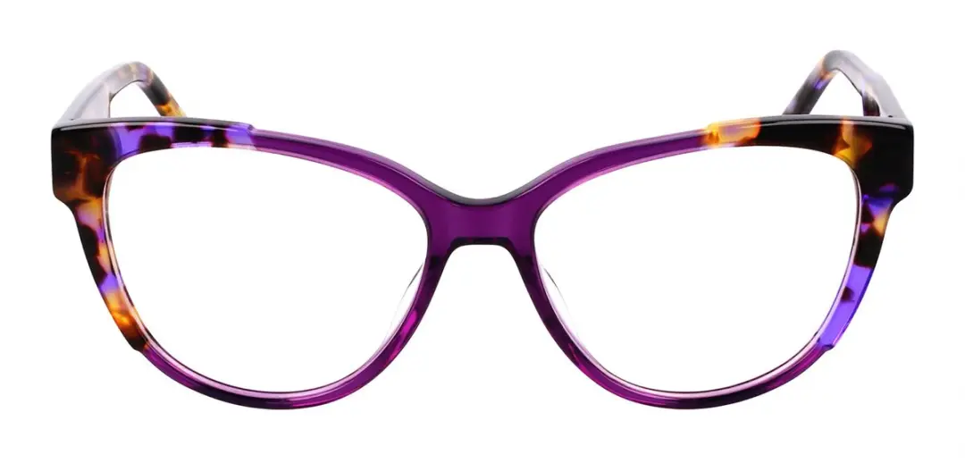 DKNY DK5073 Brilmontuur - Amethyst Crystal/Violet Tortoiseshell