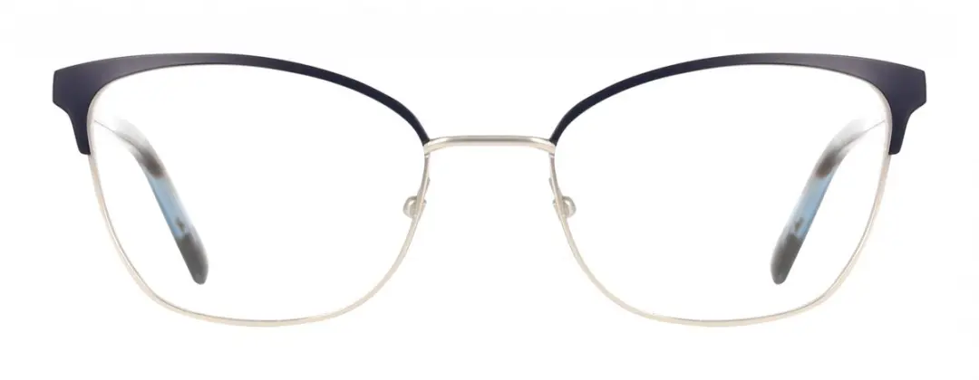 DKNY DK1041 Brilmontuur - Navy