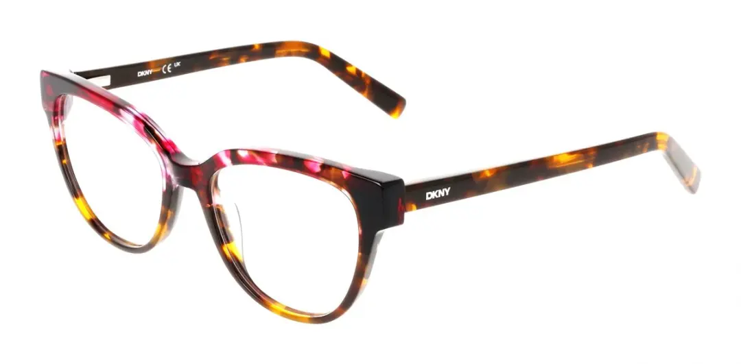 DKNY DK5074 Brilmontuur