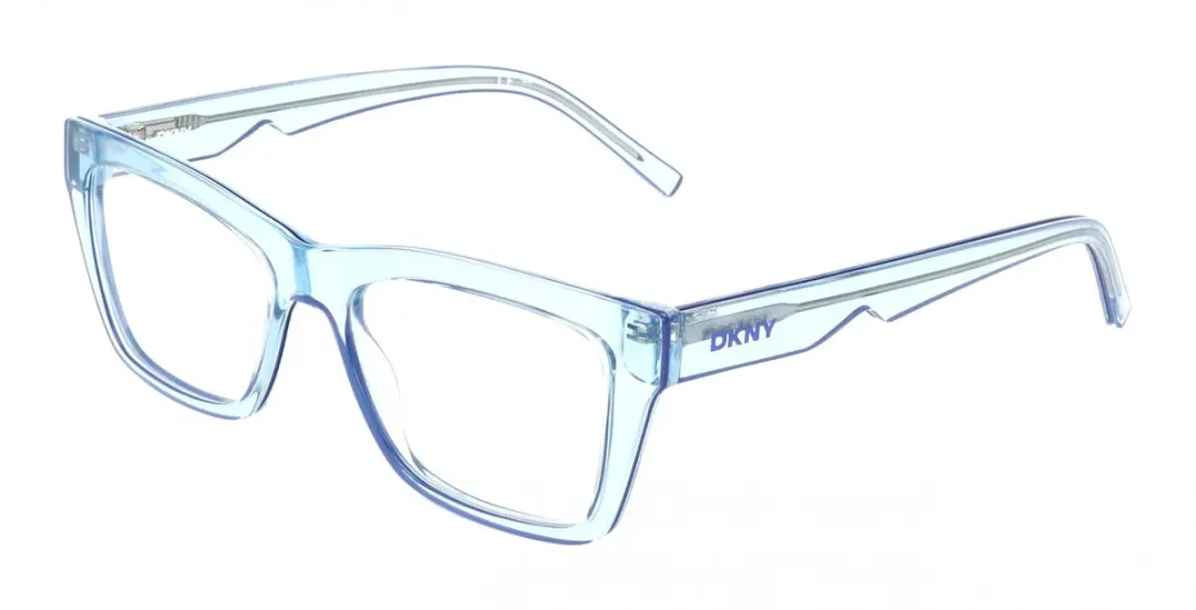 DKNY DK5093 Brilmontuur