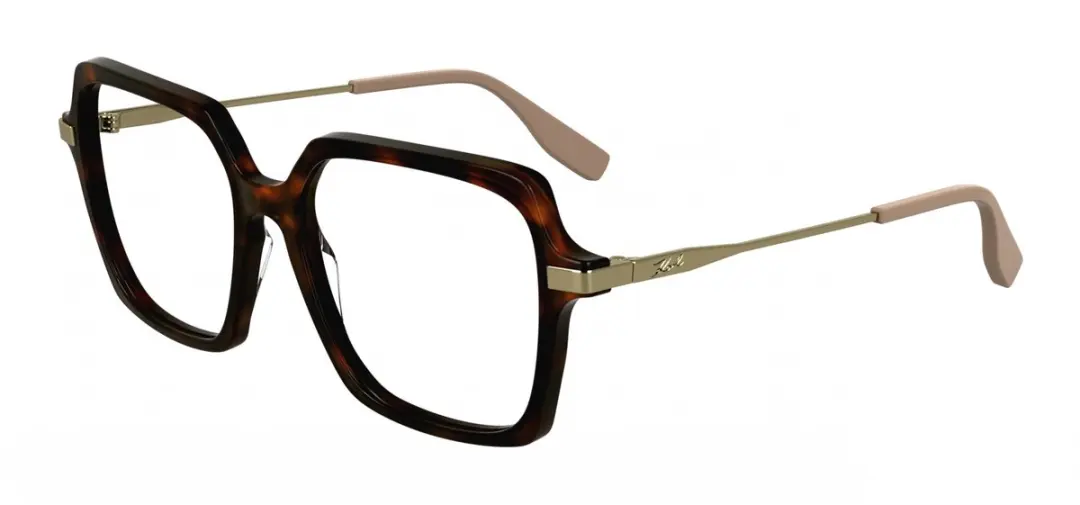 Karl Lagerfeld KL6172 N Brilmonturen