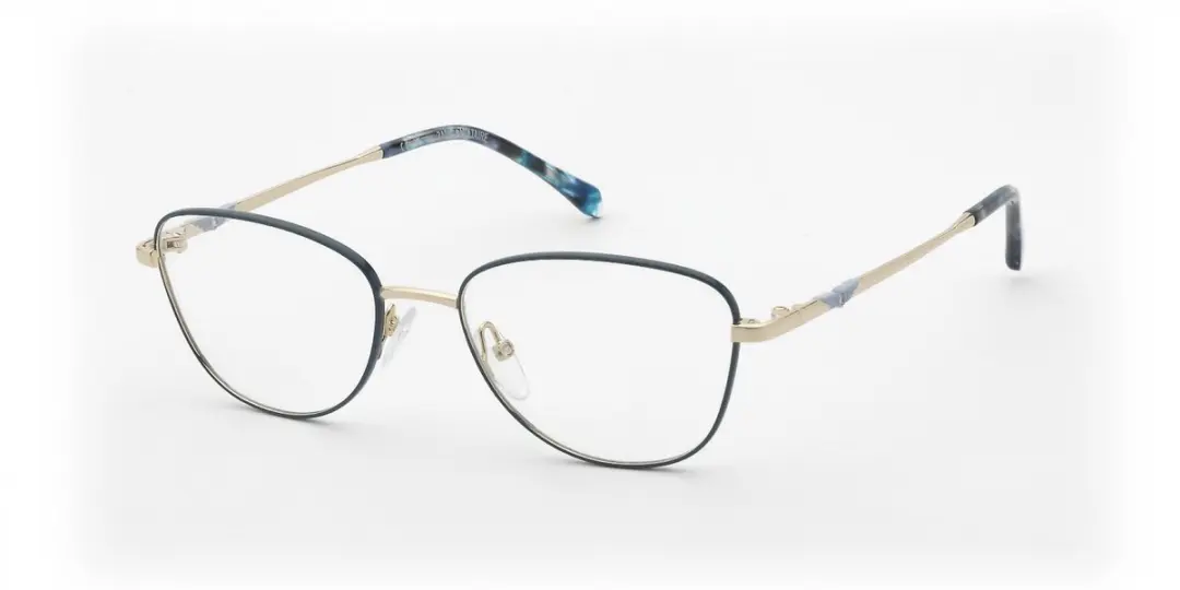 Zadig & Voltaire VZJ062 Brilmonturen