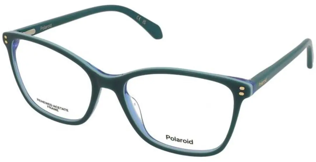 Bril Polaroid PLD D608 ZI9