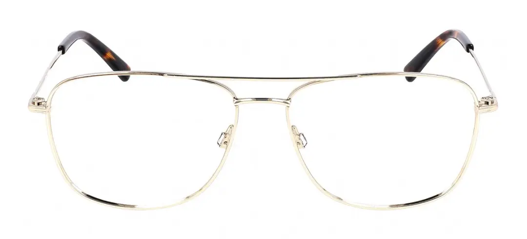 Flexson FLEXON H6065 N Gold Brilmontuur