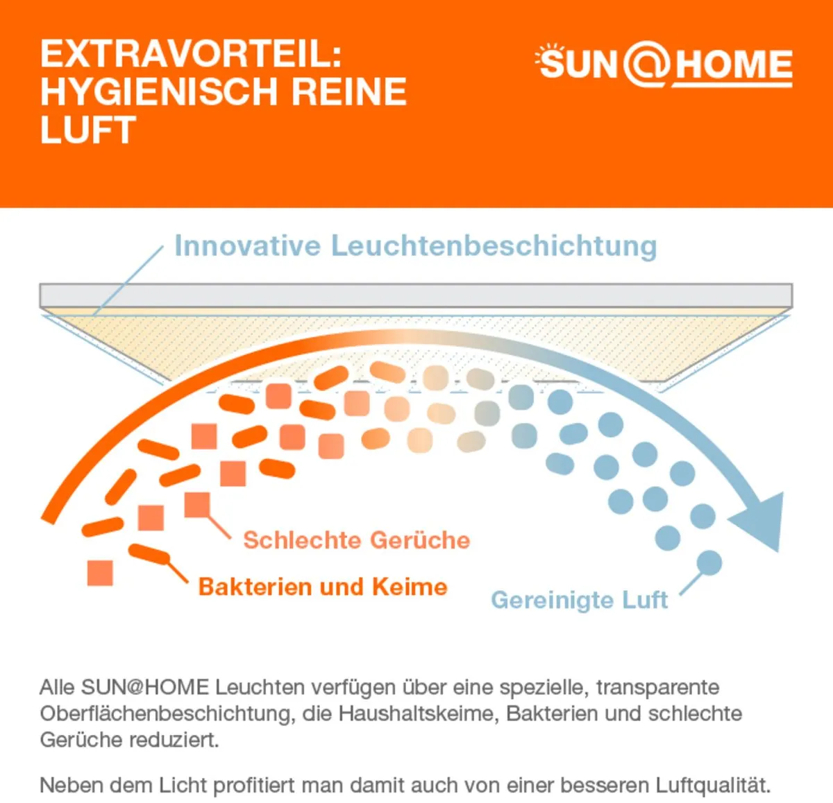 LEDVANCE SunHome Wall & Ceiling Armatuur 12W Tunable White - Helder