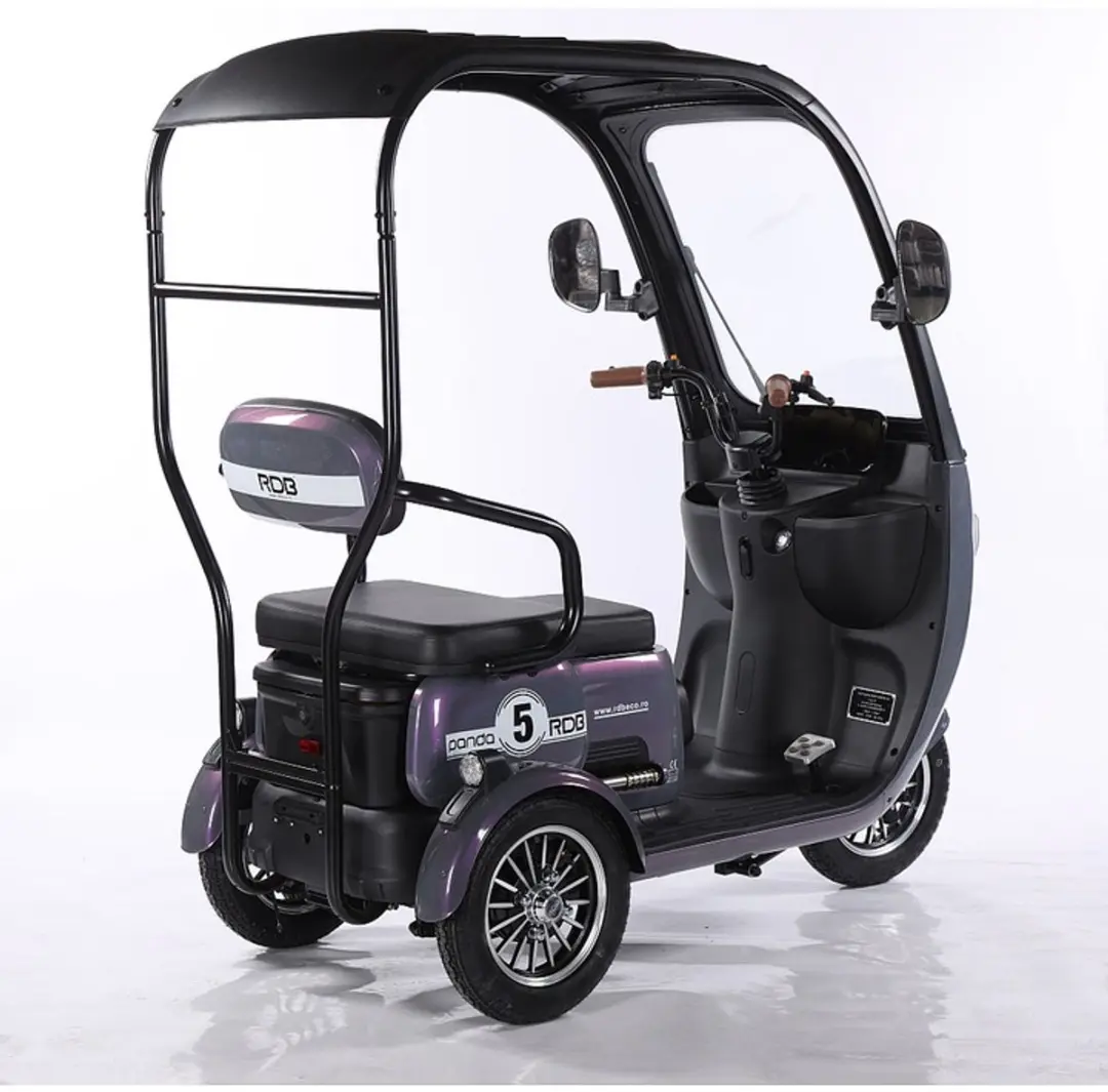 Panda Elektrische Driewieler Scooter 1000W - 60V 20Ah - Paars/Groen