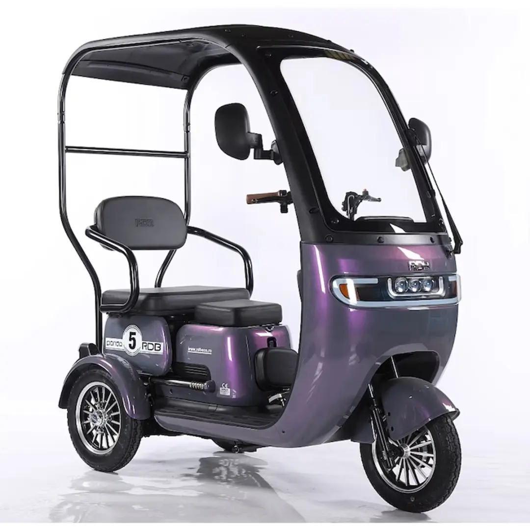 Panda Elektrische Driewieler Scooter 1000W