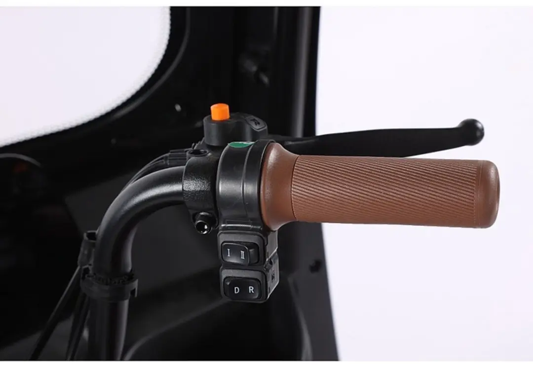 Panda Elektrische Driewieler Scooter 1000W - 60V 20Ah - Paars/Groen