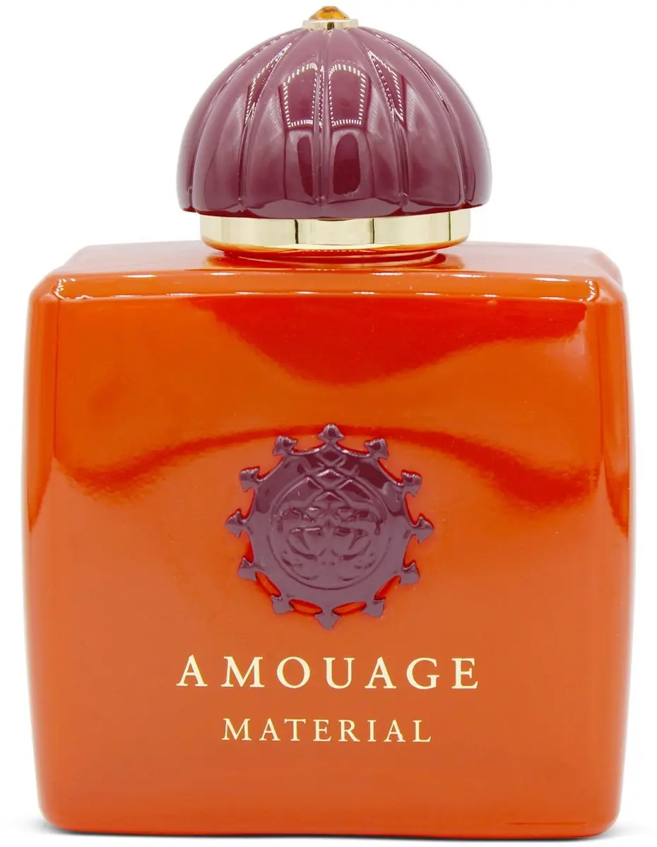 Amouage Renaissance Eau de Parfum 100ml