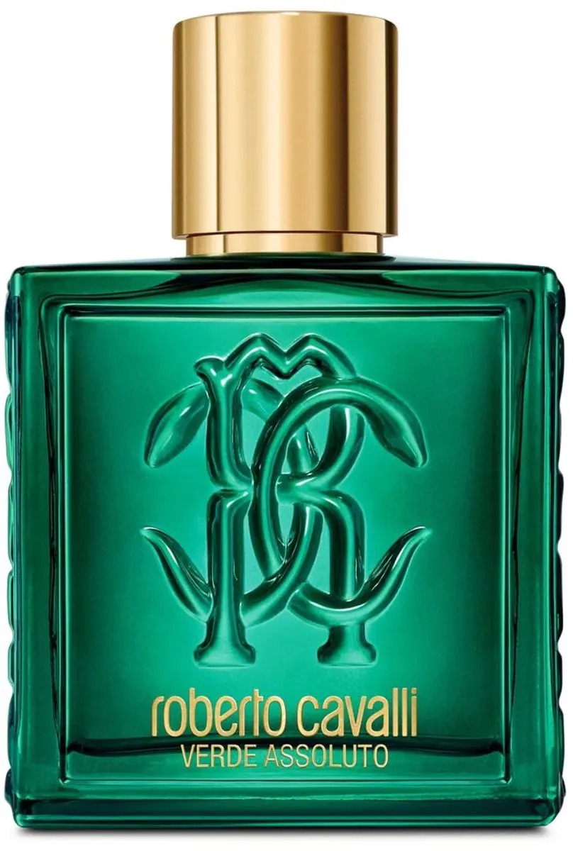 Roberto Cavalli UOMO Herenparfum 100ml - afbeelding 6 van 6