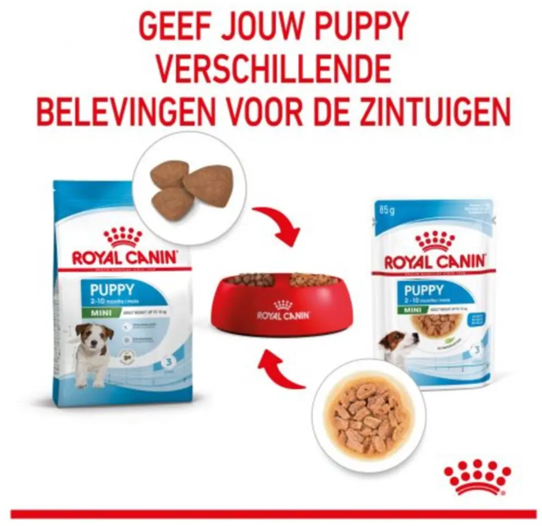 Royal Canin Mini Puppy Hondenvoer - 48 Stuks - afbeelding 5 van 6