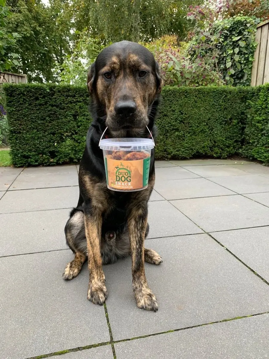 Duo Dog Paardenvet Hondensnack 400g