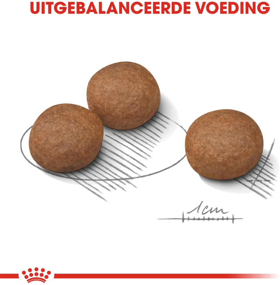 Royal Canin Digestive Care Medium Hondenvoer 3kg
