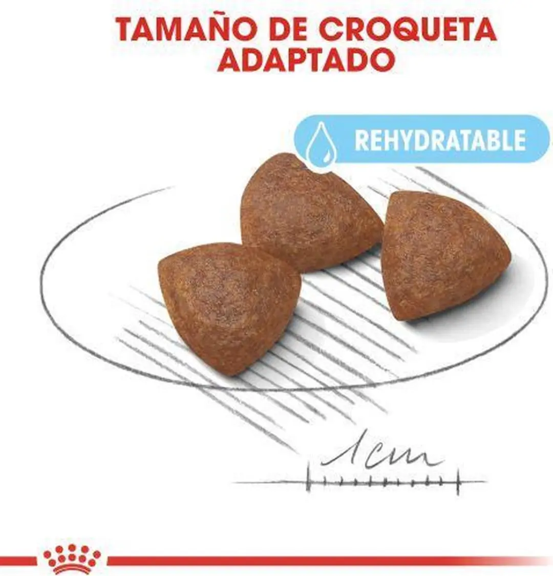 Royal Canin Medium Starter Mother & Babydog Hondenvoer 12kg
