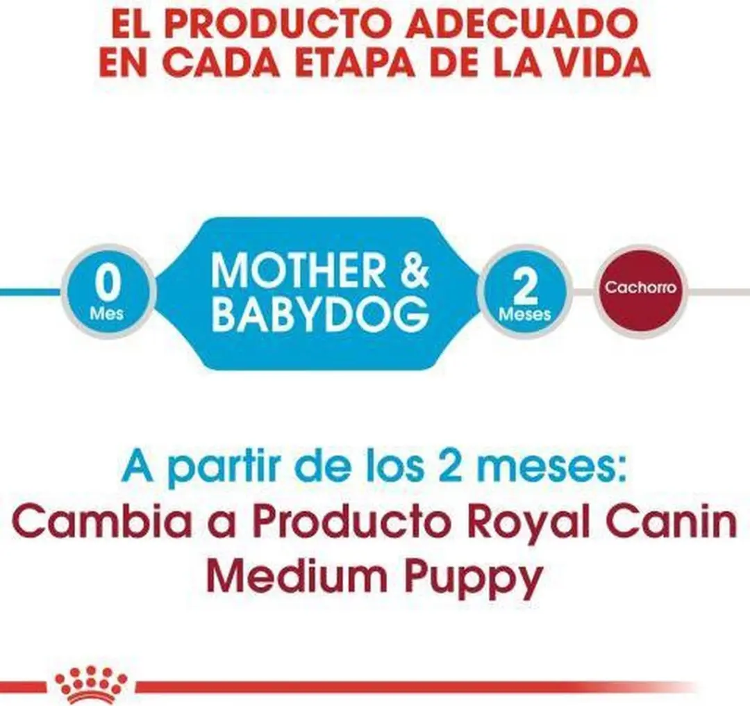 Royal Canin Medium Starter Mother & Babydog Hondenvoer 12kg