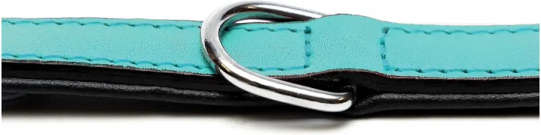 Gloria Padded Hondenhalsband - 45 cm Turquoise