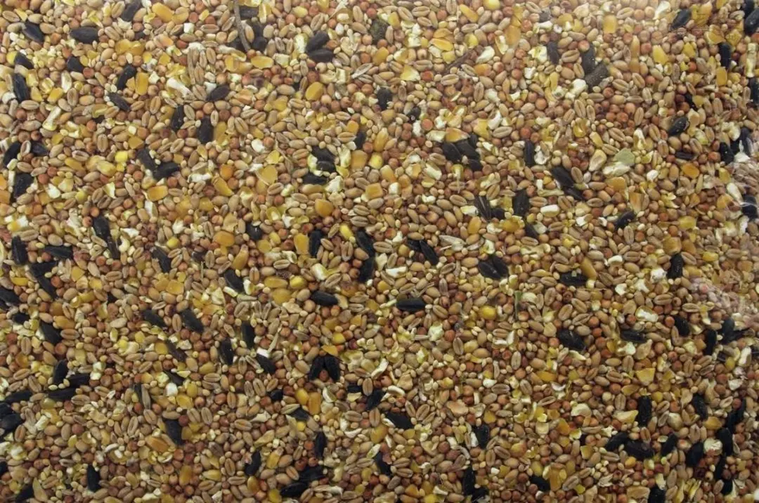 Mullrose Vogelvoer Zadenmix Voordeelverpakking 12x700g
