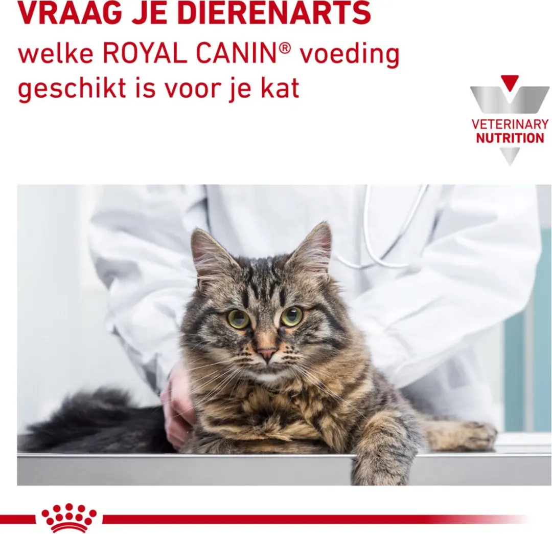 Royal Canin Urinary S/O Kattenvoer in Gelei 85g - 48 Stuks