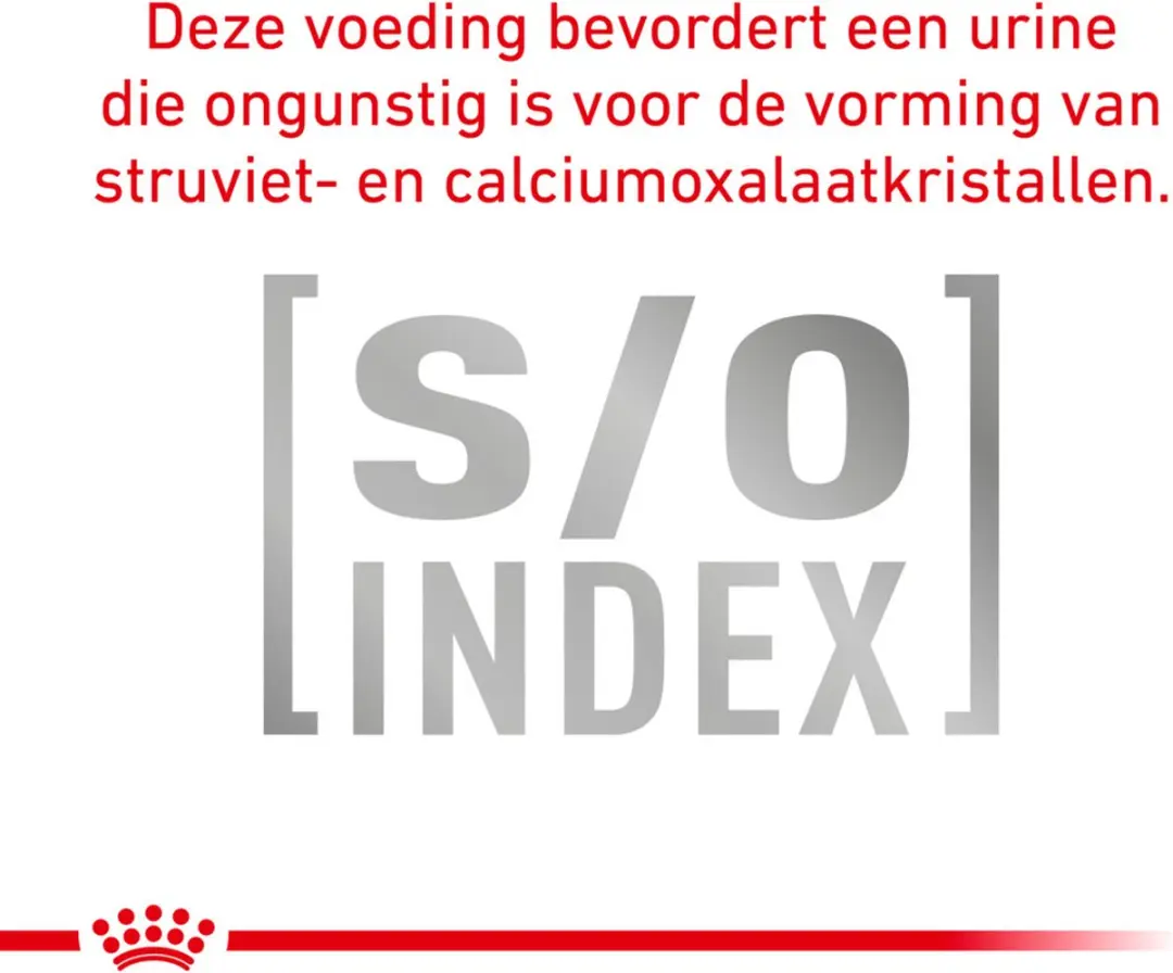 Royal Canin Urinary S/O Kattenvoer in Gelei 85g - 48 Stuks