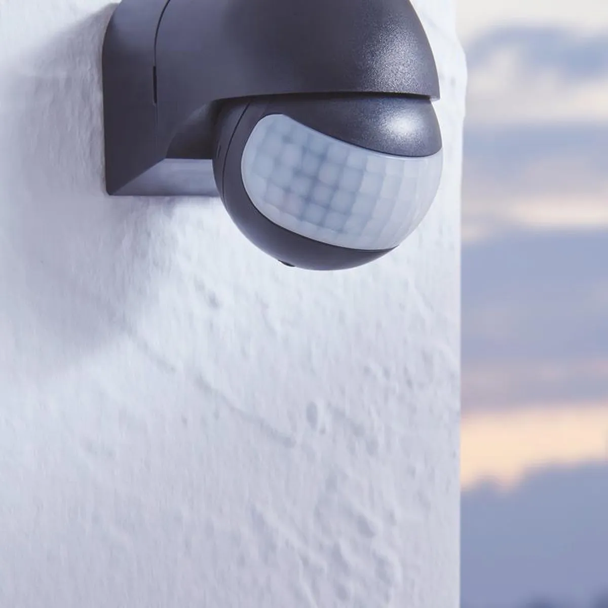 Eglo Detect Me 1 Sensor Buitenverlichting - Zwart